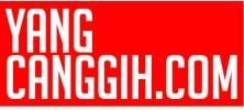 YANGCANGGIH.COM logo