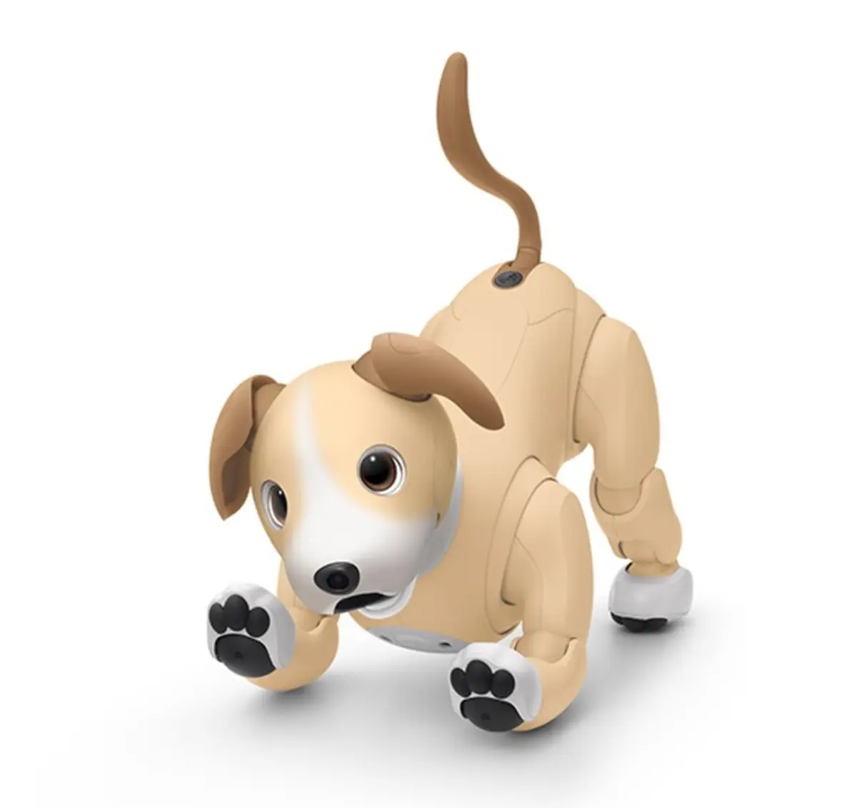 Sony Aibo Kinako Edition