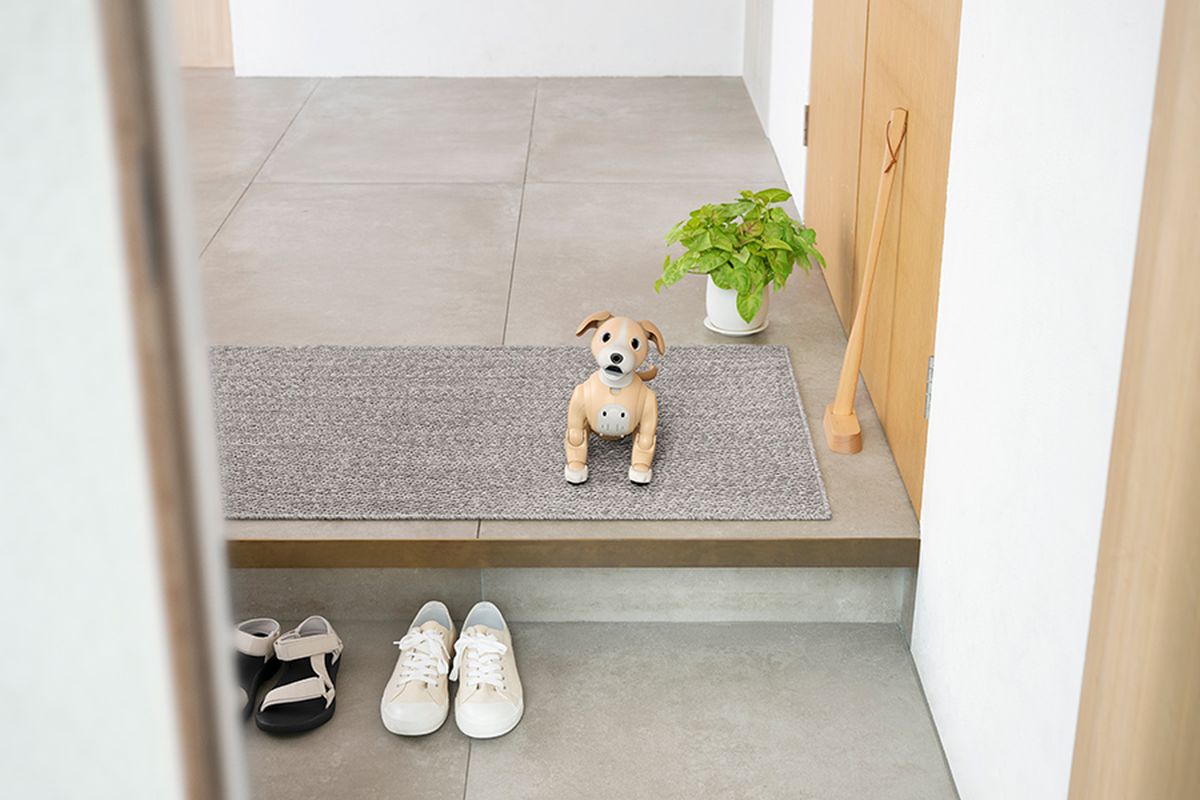 sony aibo kinako edition 4a